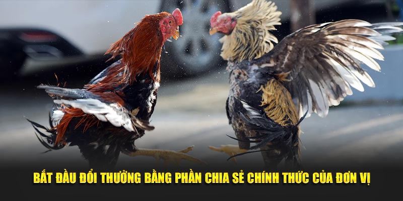 Bắt đầu đổi thưởng bằng phần chia sẻ chính thức của đơn vị