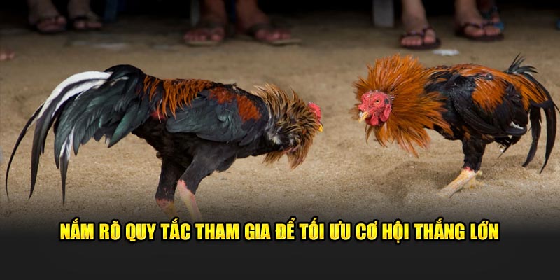 Nắm rõ quy tắc tham gia để tối ưu cơ hội thắng lớn