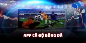 App Cá Độ Bóng Đá