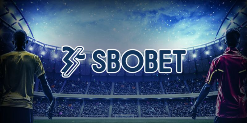 Cá cược bóng đá nổi bật tại sbobet QQ88