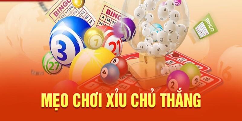 Bật mí cách soi cầu xỉu chủ là gì hiệu quả nhất